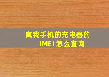 真我手机的充电器的 IMEI 怎么查询